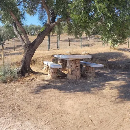 Residenza Degli Ulivi アパート